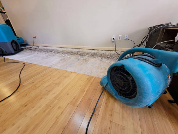 Professional Sewage Cleanup technician working in Bay City, WI